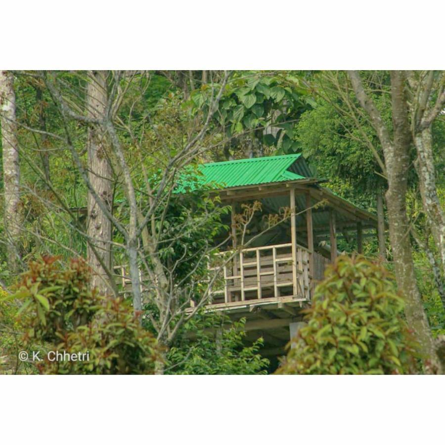 Suma Aavaas Farmstay Darjeeling  Exterior foto